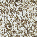 Fensterbank Quarz